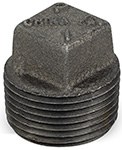 1 Black Plug